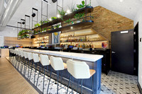 Daisies - 2375 N Milwaukee Ave